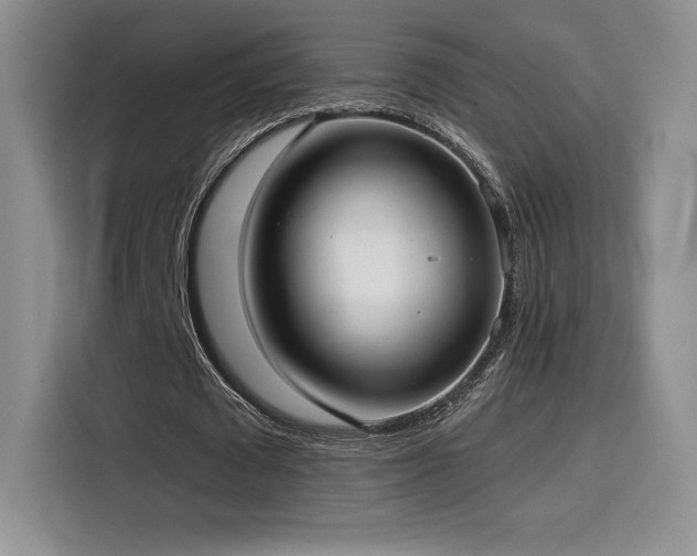 X0000114570673200910191504