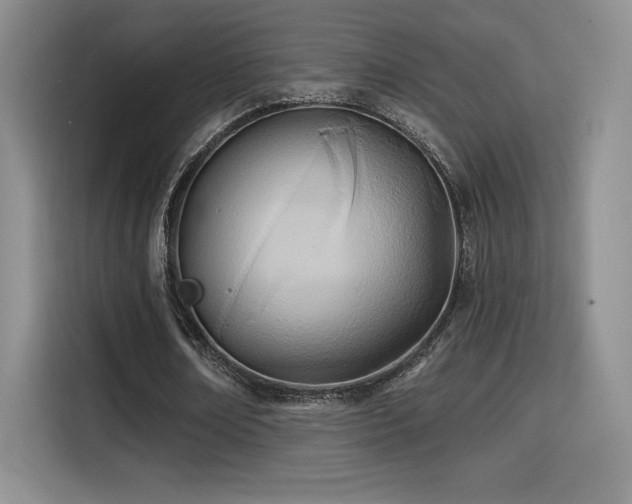 X0000114570674200910191504