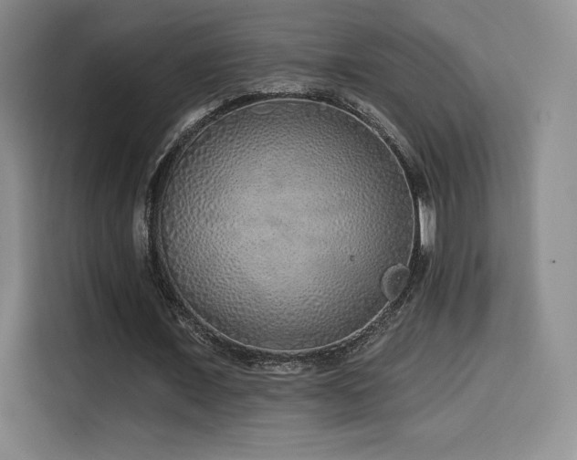 X0000114570675200910191504