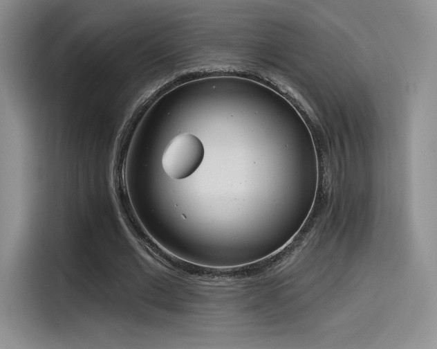 X0000114570677200910191504