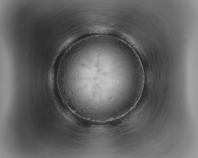 X0000114570679200910191504