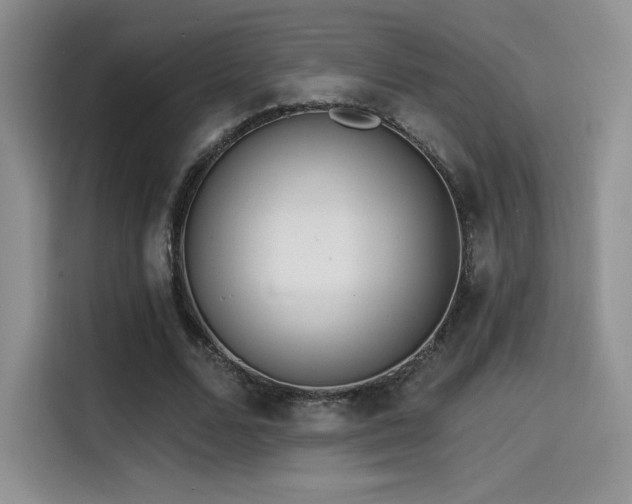 X0000114570680200910191504