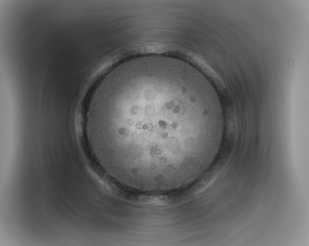 X0000114570683200910191503