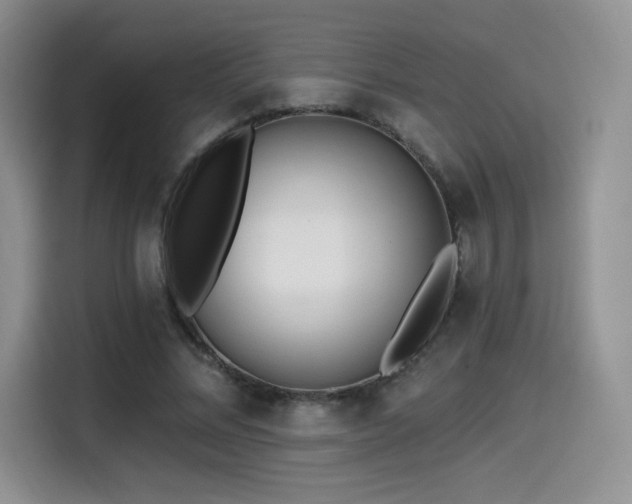 X0000114570684200910191503