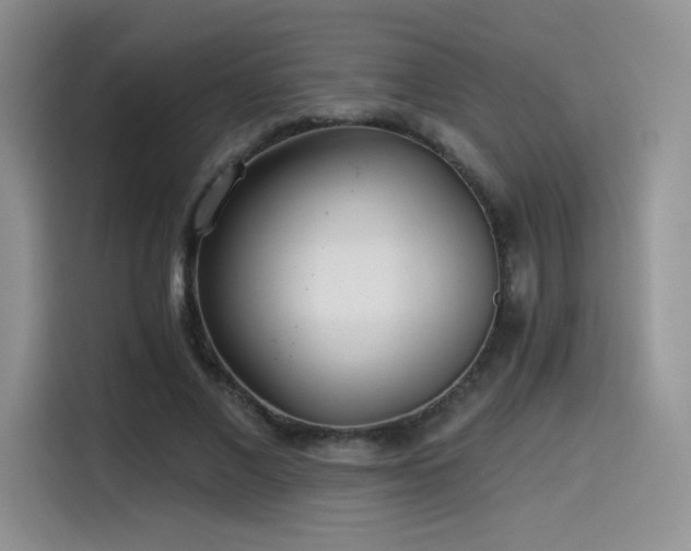 X0000114570685200910191503