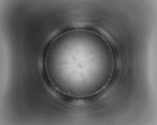 X0000114570687200910191503