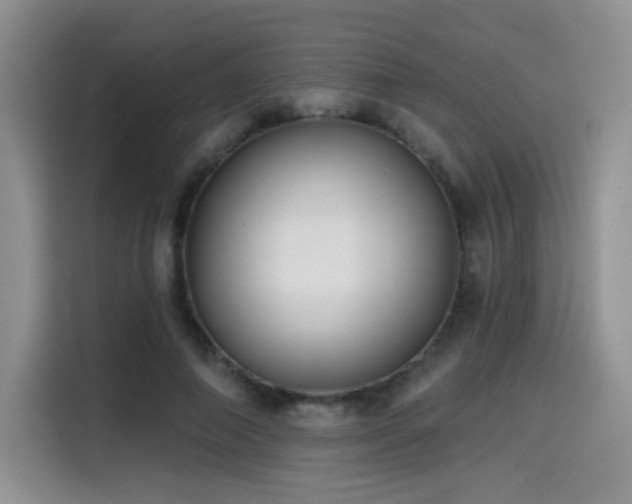 X0000114570690200910191503