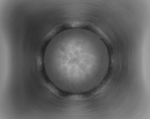 X0000114570691200910191503