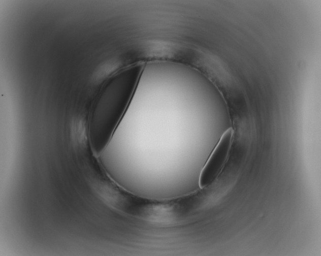 X0000114570692200910191503