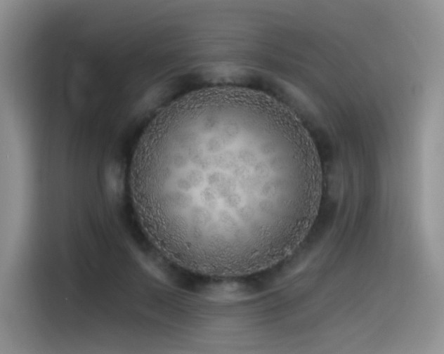 X0000114570695200910191503