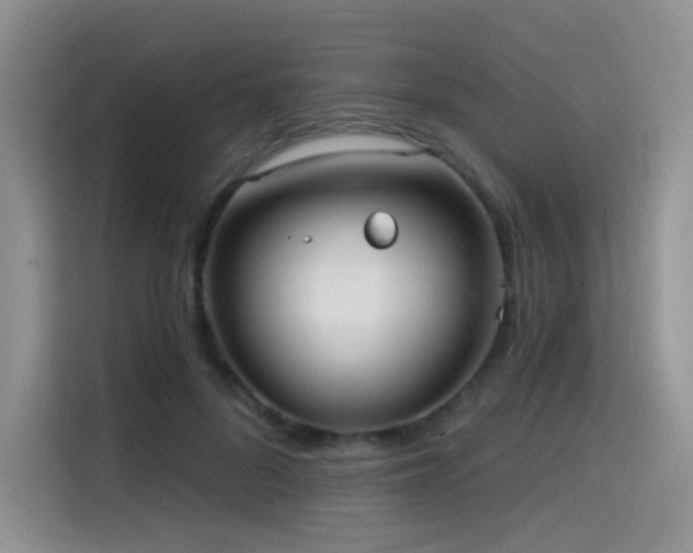 X0000114570696200910191503