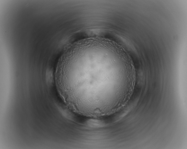 X0000114570699200910191503