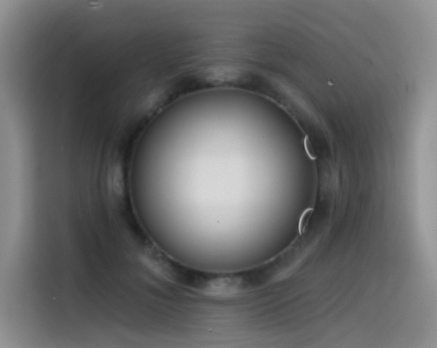 X0000114570700200910191503