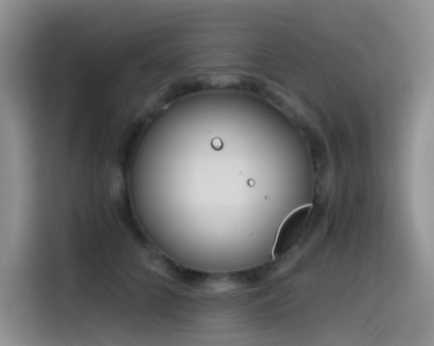 X0000114570704200910191503