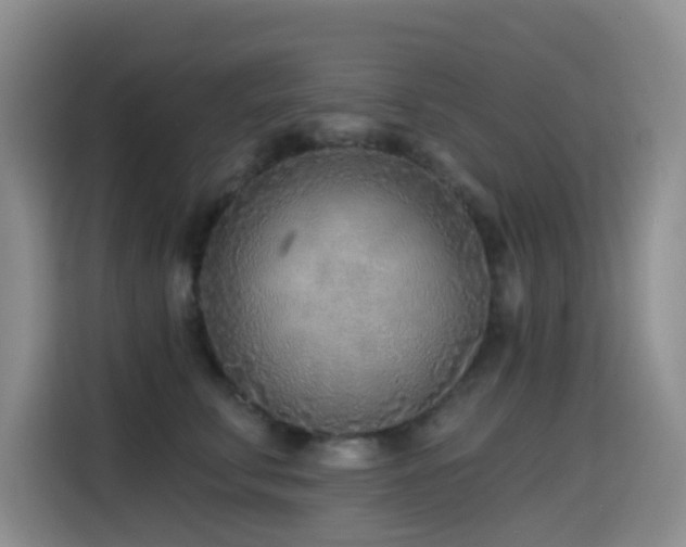 X0000114570711200910191503