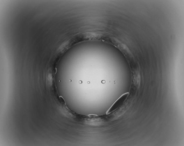 X0000114570716200910191503