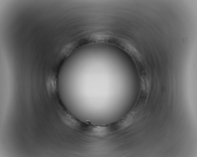 X0000114570718200910191503