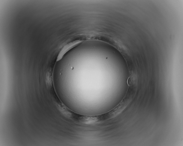 X0000114570719200910191503