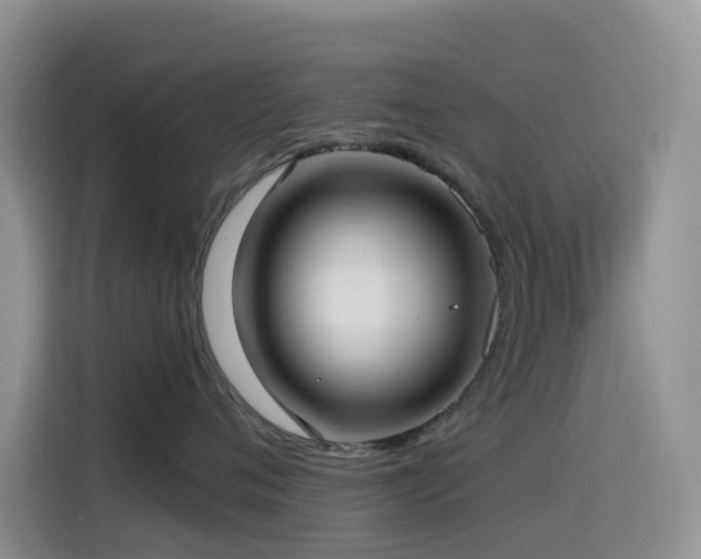 X0000114570720200910191503