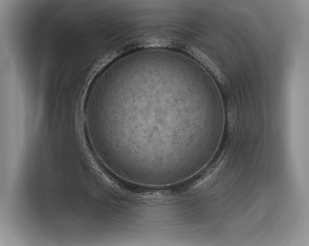 X0000114570721200910191502