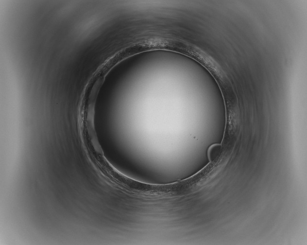 X0000114570722200910191502