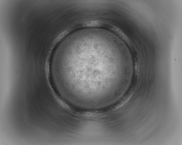 X0000114570725200910191502