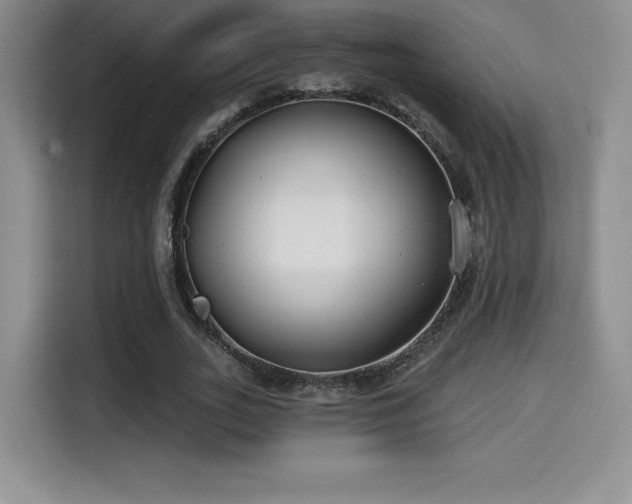 X0000114570727200910191502