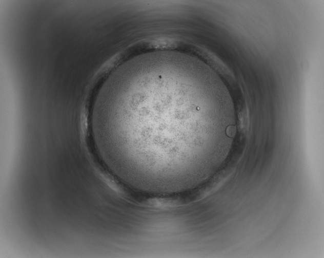 X0000114570733200910191503