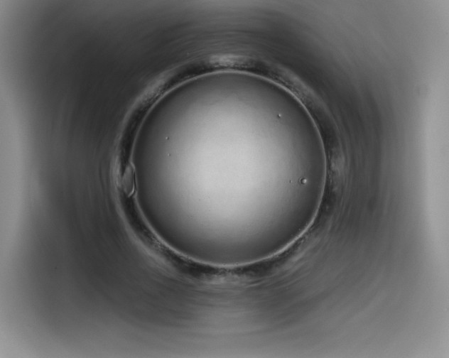 X0000114570734200910191503