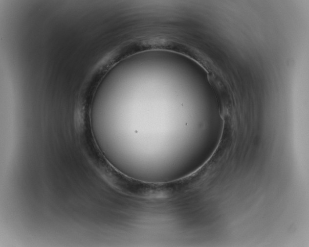 X0000114570735200910191503