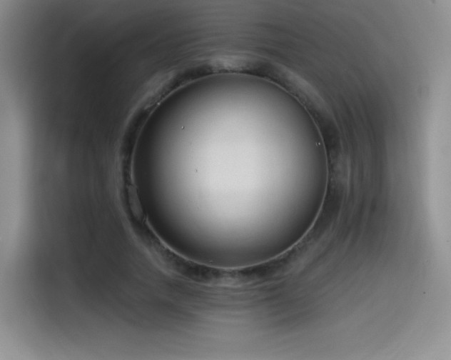 X0000114570738200910191503