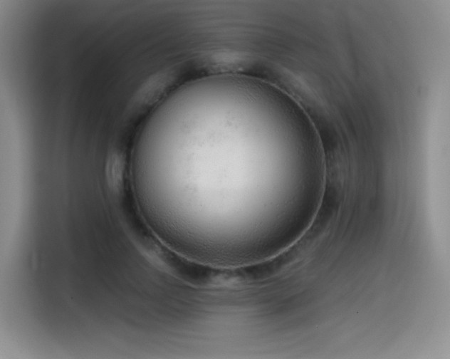 X0000114570742200910191503