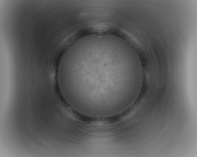 X0000114570745200910191503