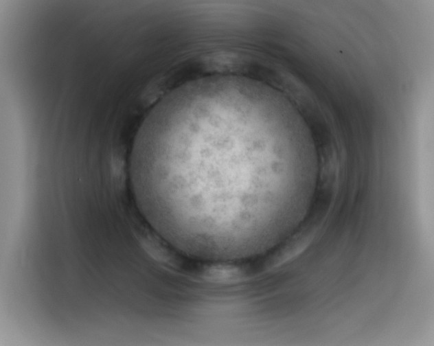 X0000114570749200910191503