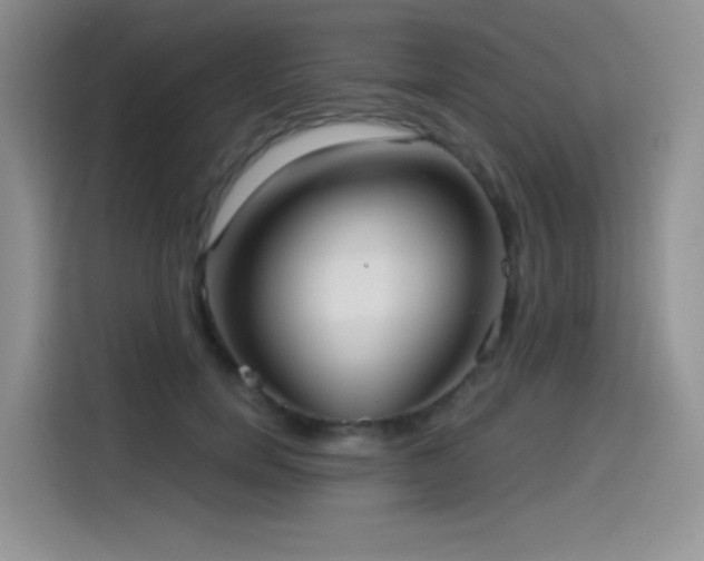 X0000114570750200910191503