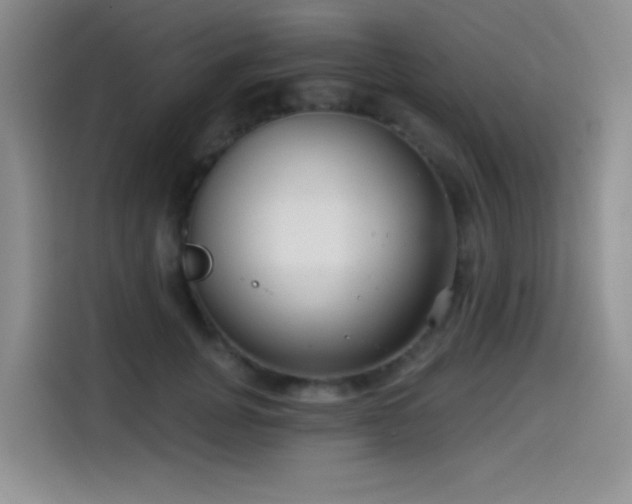 X0000114570751200910191503