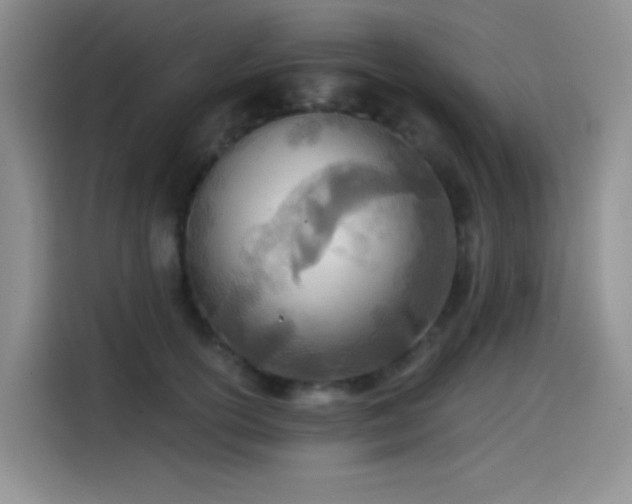 X0000114570754200910191503