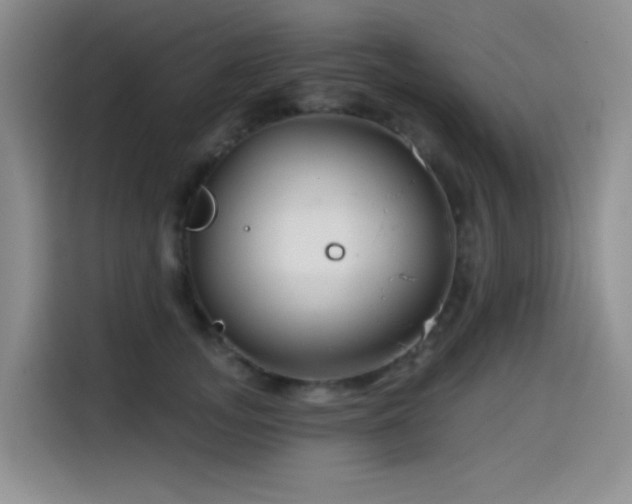 X0000114570755200910191503