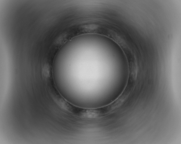 X0000114570758200910191503