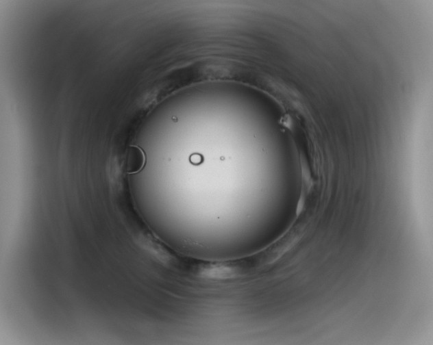 X0000114570759200910191503