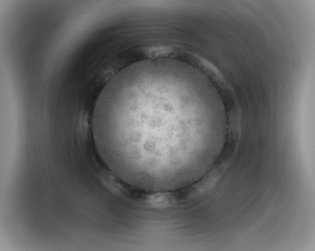 X0000114570761200910191503