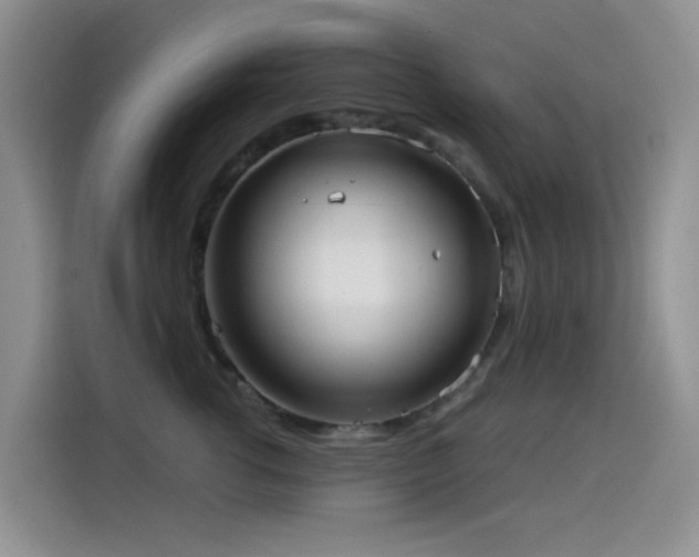 X0000114570762200910191503