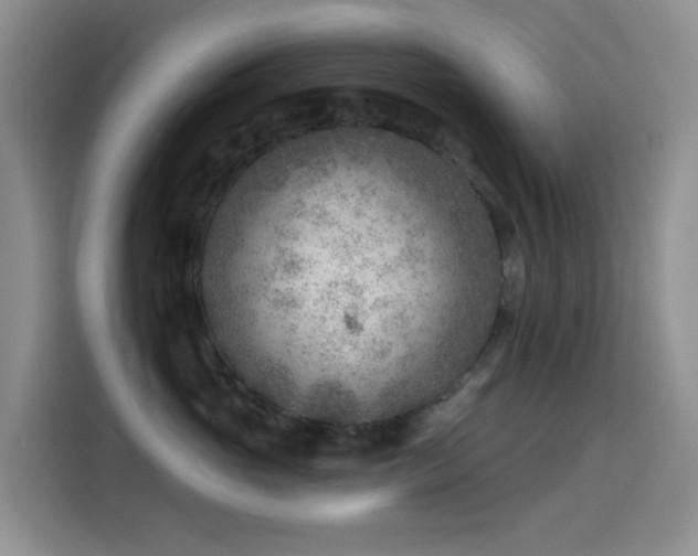 X0000114570765200910191503