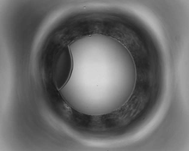 X0000114570766200910191503