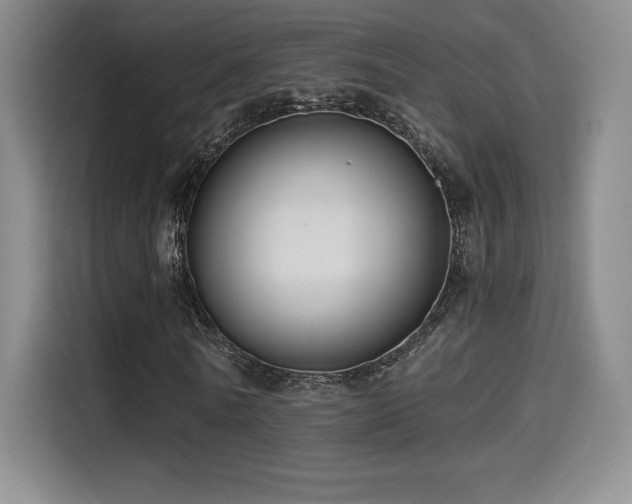 X0000114570770200910191502