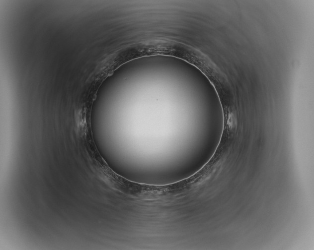 X0000114570771200910191502