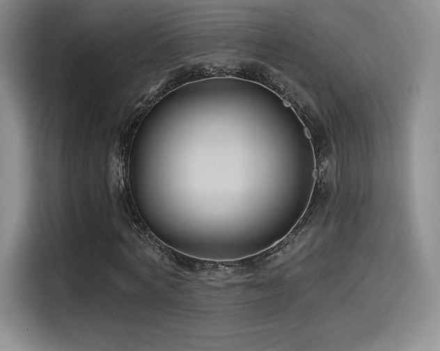 X0000114570772200910191502