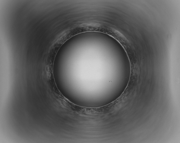 X0000114570774200910191502