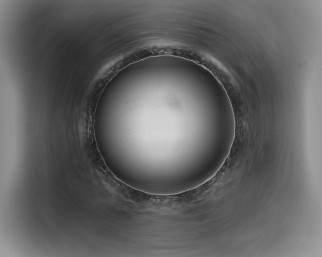 X0000114570775200910191502