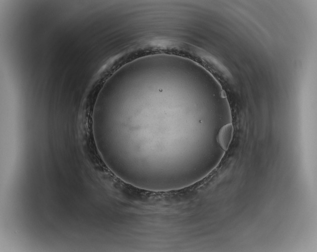 X0000114570776200910191502